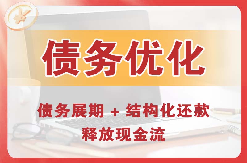 普安债务优化