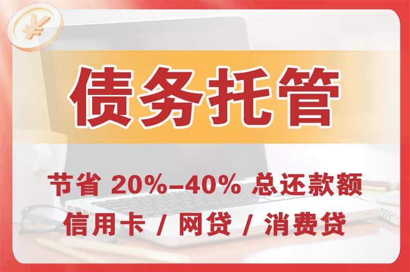 普安债务托管